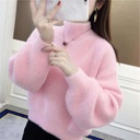 Anti-mink Velvet Sweater Women's Short Outer Wear Autumn and Winter High Waist Fashionable Loose Thickened Base Shirt