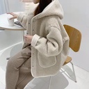 Hooded Lambskin Coat Women's Winter Outer Wear Korean Loose Ins Lazy Thickened Top for Women