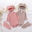 2024 New Spring and Autumn Rabbit Ear Long Sleeve Baby Climbing Clothes Har Clothes INS Baby Fall Three Piece