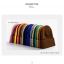 warm hat fashion women's autumn and winter cold knit hat solid color ear protection wool hat logo winter hat