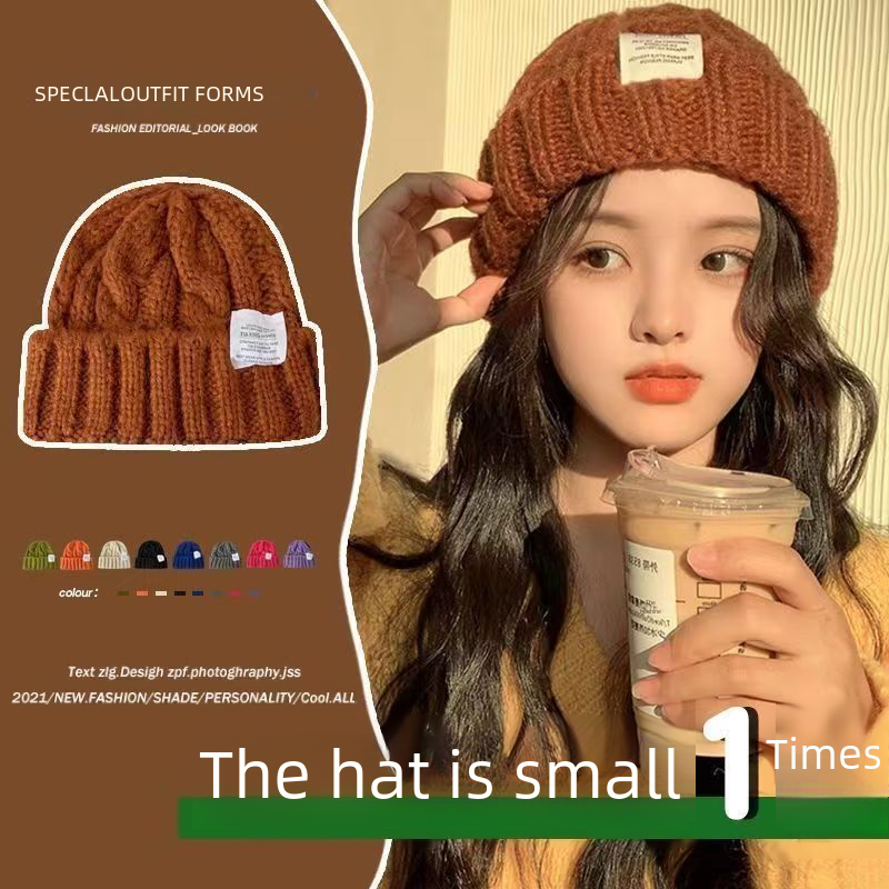 Wool hat women's autumn and winter warm ear protection knitted hat thickened fashion winter cold hat small fragrance winter hat