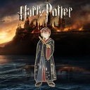 Cartoon Alloy Metal Badge Souvenir College Badge Hogwarts Badge Brooch Magic Harry Wave Surrounding