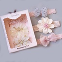 Baby Hair Band Korean Style Bow Flower Children's Hair Accessories Headband Fontanelle Crown Jewelry Set Gift Box