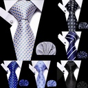厂家直供职业正装商务领带服饰穿搭配件商务时尚衬衫男士领带套装
