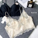 French ~ Sexy Lace Early Spring Adjustable Strap Vest Hollow One-piece Cup Bra Wrap Chest Beautiful Back Base Underwear