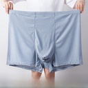 Mesh Ice Silk Underwear Men's Large Size Boxer Underwear Big Fat Man Fat Man Nylon Large Breathable Summer 400 Jin