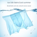 Summer Ultra-thin Separate Ice Silk Men's Underwear Quick-drying Breathable Non-marking Men's Mask Pants Elephant Nose Boxers