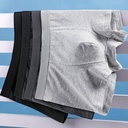 men's underwear cotton seamless breathable 5A antibacterial crotch cotton boxers Zhongshan manufacturers