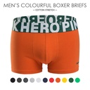 [Source source] men's underwear supply trend fashion multi-color optional cotton men's boxer underwear 528