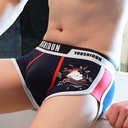 Men's underwear printed boxer underwear student cotton youth waist fashion personality boxer pants a generation of hair