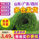 Artificial lawn artificial green lawn mat football field enclosure kindergarten fake turf outdoor artificial lawn