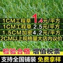 Artificial Turf Carpet Engineering Kindergarten Turf Football Artificial Outdoor Wedding Green Enclosure False Lawn