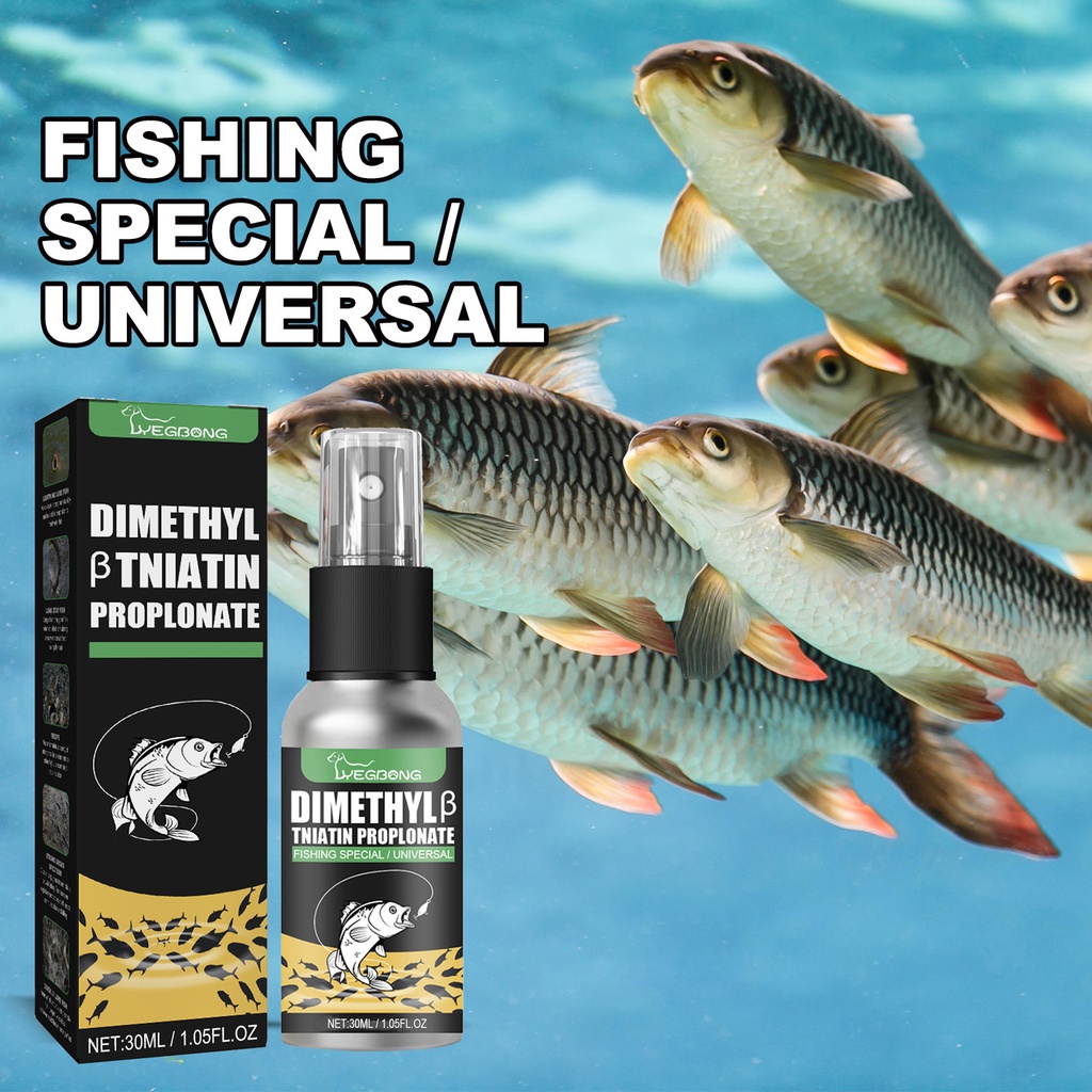 Yegbong bait attractant small fishing drug attractant wild fishing bait bait bait material fish attractant