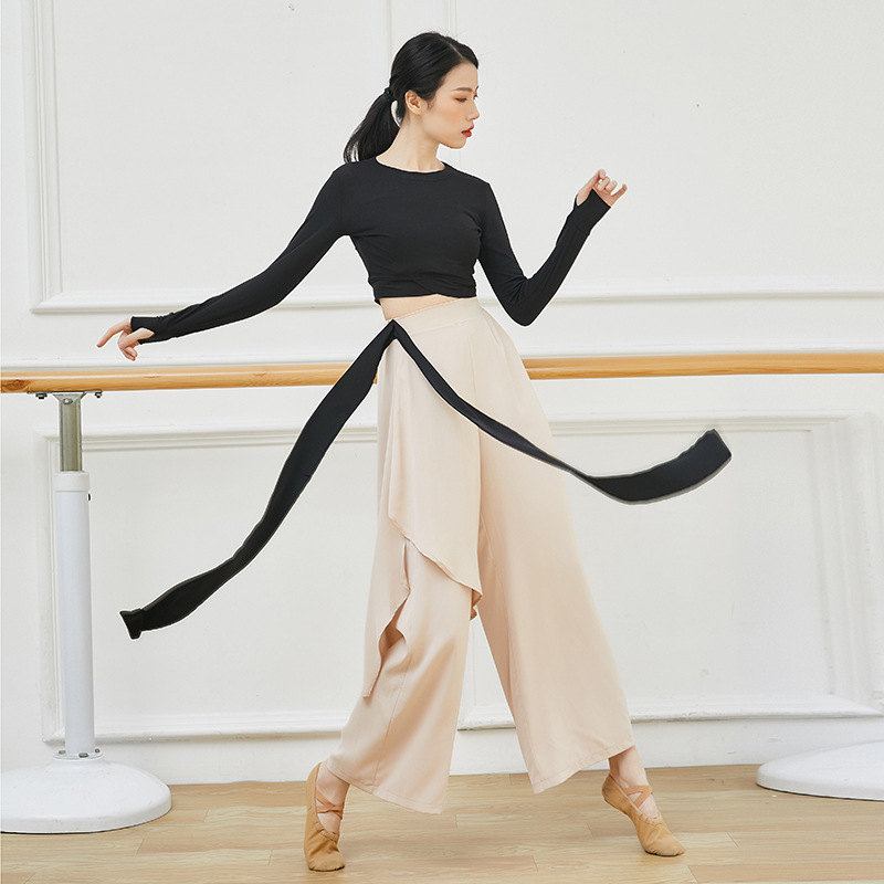 Modern Dance Practice Suit Pants Women's Loose Elegant Wide Leg Pants Classical Dance Costume Jazz Dance Costume