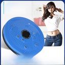 Supply Leisure fitness equipment manufacturers supply home massage body slimming waist with magnetic twist waist plate