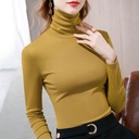 Women's turtleneck bottoming shirt autumn and winter women's clothing Korean style solid color long-sleeved cotton T-shirt inner tight top for women
