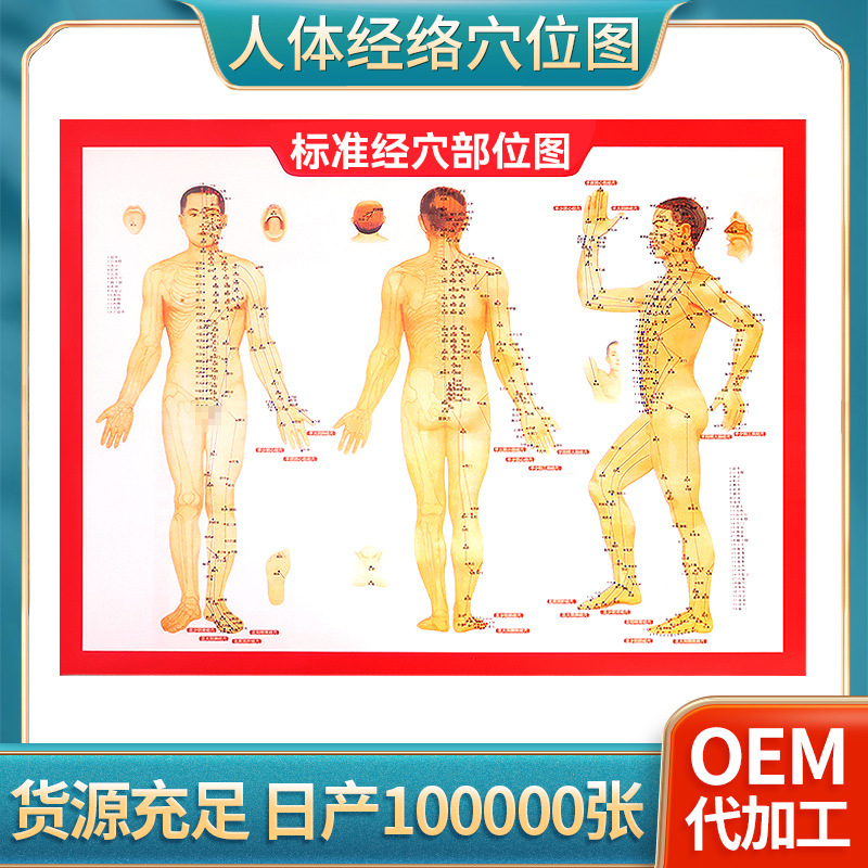 64 open human body acupoint map can be human body Meridian acupoint book moxibustion reference map moxibustion map moxibustion book