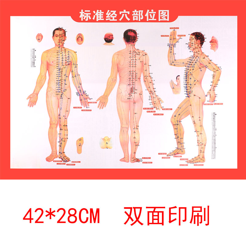 人体艾灸穴位图经络按摩针灸附常用病例施灸参考高清双面艾灸书图