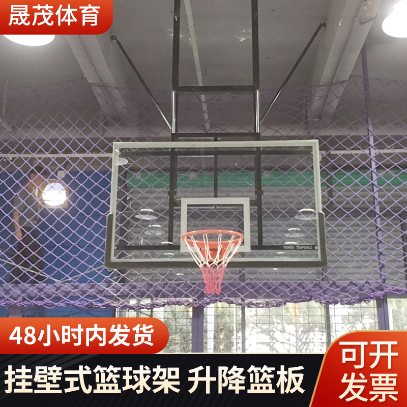 Indoor Sports Basketball Gymnasium Electric Lifting Ceiling Hanging Basketball Rack Adult Basketball Frame Children Folding Basketball Rack