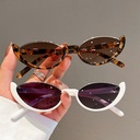 cat's eye sunglasses Fashion Net red with INS glasses simple avant-garde sunglasses mixed