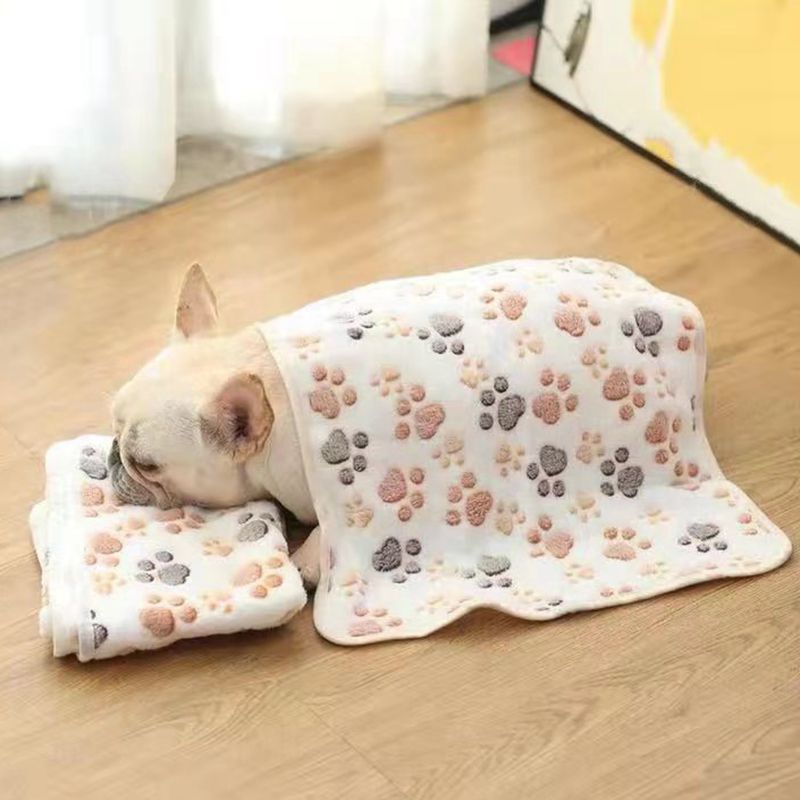 Pet Blanket Four Seasons Universal Footprint Coral Fleece Pet Mat Cat Dog Sleeping Quilt Pet Blanket