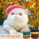 ins Style Wool for Spring, Summer, Autumn and Winter Pet Bailey Hat Supplies Painter Puppy Cat Headwear