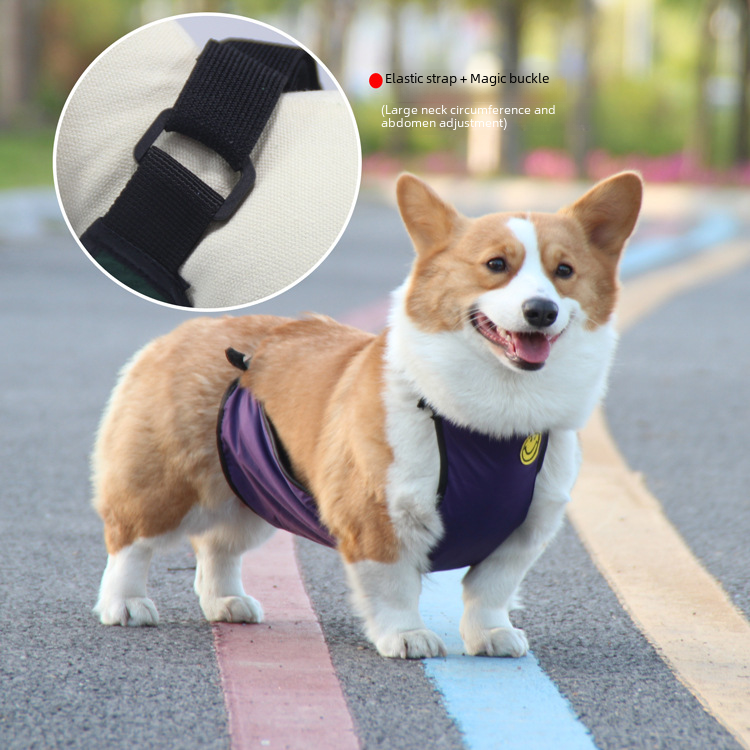 Pet Corgi dog bellyband waterproof anti-dirty pet clothes outdoor solid color pet bib for small and medium dogs in stock