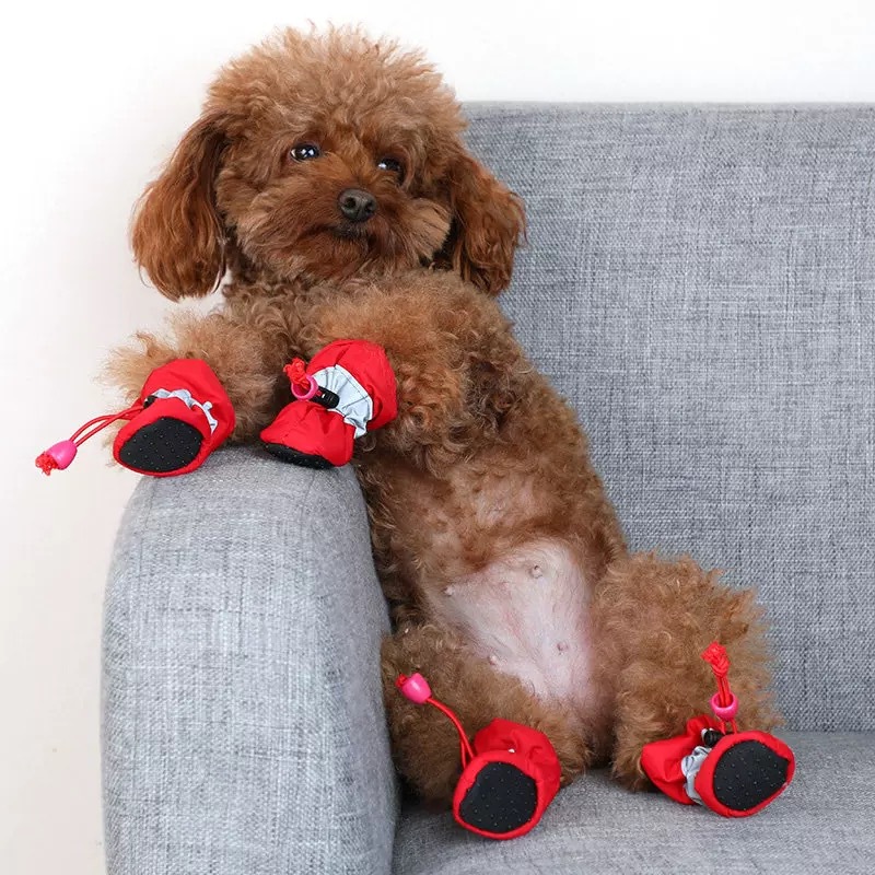 Dog shoes soft bottom breathable waterproof dog Teddy spring autumn and winter out pet shoes rain shoes dog shoes