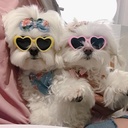 Factory direct supply dog pet glasses cute pet Christmas funny glasses heart cat sunglasses pet supplies