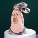 Dog cat pet supplies two feet thin velvet autumn and winter warm bear vests Teddy Korean clothes factory outlet