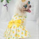 Summer Dress Fadou Pet Clothes Bow Floral Skirt Dog Skirt Cat Dog Clothes