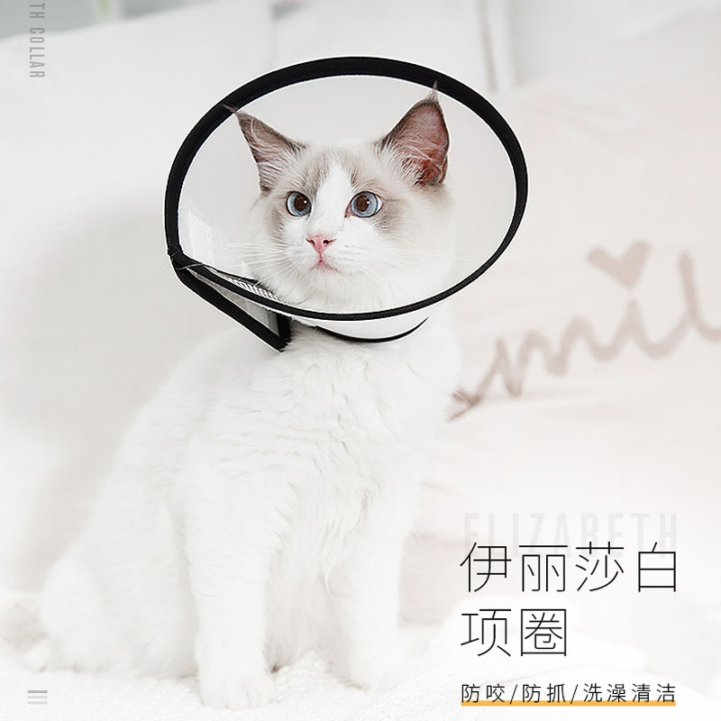 Cat anti-licking anti-scratch headgear dog cat collar collar shame ring transparent pet Elizabeth ring