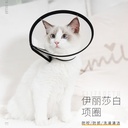 猫咪防舔防抓头套批发狗狗猫咪项圈脖套耻辱圈透明宠物伊丽莎白圈