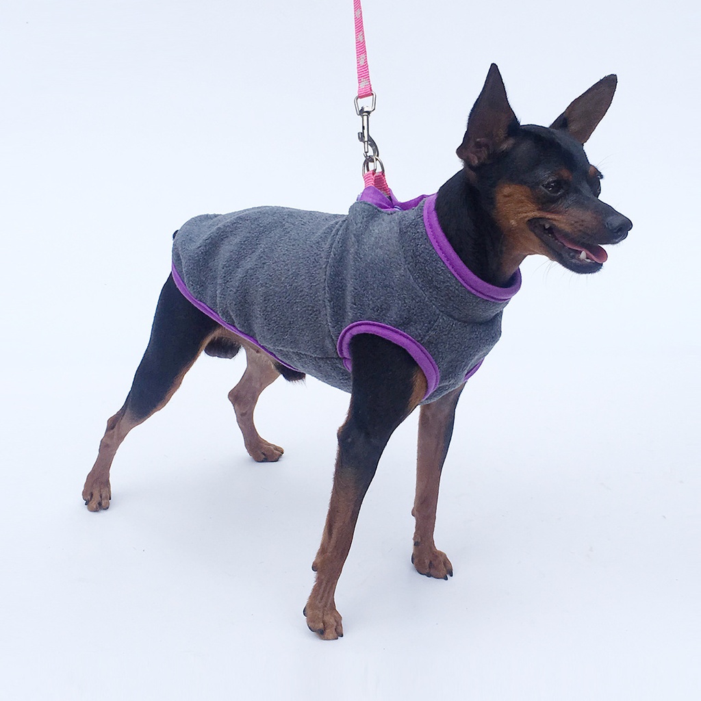 pet clothes dog clothing stand collar placket velvet (sleeveless) light fleece RY0002