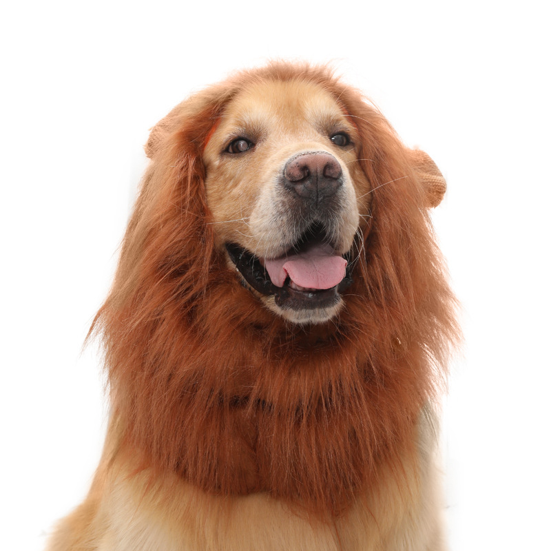 hot pet products golden retriever dog cat funny selling cute wig lion head hat