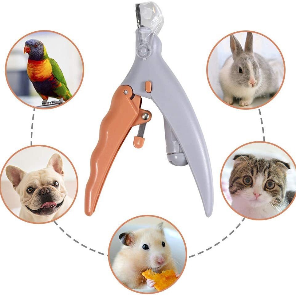 Peti Nail clipper pet LED Nail clippers with light cat and dog cleaning scissors beauty luminous Nail clippers