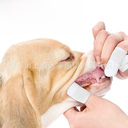 狗狗牙刷洁牙指套 猫用手指牙刷 适用于狗猫牙齿清洁 舒适耐用