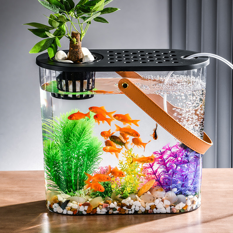 Plastic Transparent Oval with Lid Micro Landscape Fish Tank Living Room Office Desktop Small Decorative Ornaments Goldfish Tank
