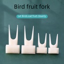 鸟用水果叉蔬菜夹子鹦鹉鸟食叉塑料鸟玩具鸟笼喂鸟器小鸟用品用具