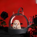 Honey bag carrying cage little devil going out cage Golden Bear Honey kangaroo fun transparent portable cage small pet