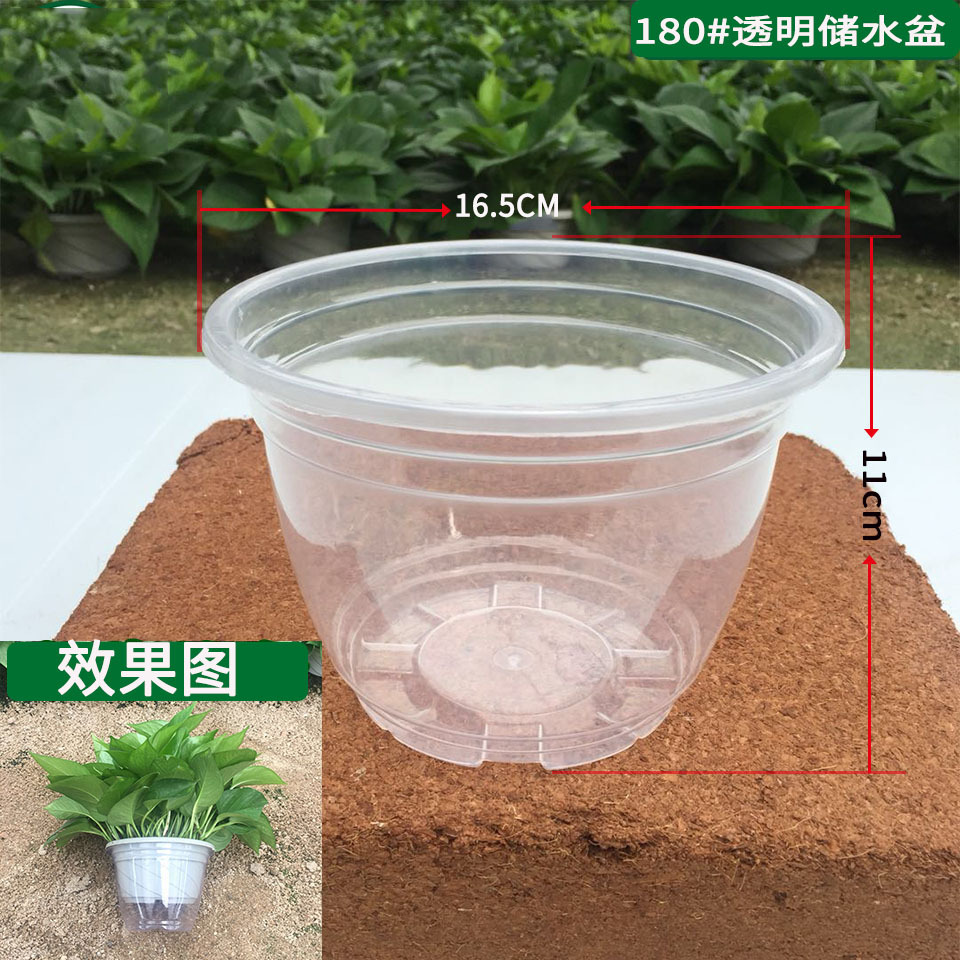 180 Green Flower Pot Transparent Water Storage Pot Potted Flower Lazy Flower Pot Green Basket Flower Pot Automatic Absorbent Pot