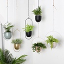Tubang simple modern creative hanging iron flower pot balcony hanging green radish succulent plant decorative hanging basket pot