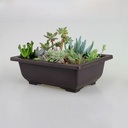 supply plastic vintage flower pot imitation purple sand dark brown suitable for succulent small pot small bonsai balcony