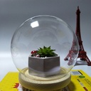 Micro-landscape transparent glass dust cover creative eternal flower glass cover landscape vase manufacturers