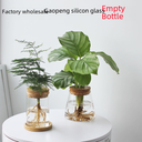 Hydroponic Plant Ecological Bottle Aquatic Flowerpot Utensils Green Laurel Chinese Pomelo Ornaments Micro Landscape Glass Vase