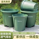 Castle Peak Basin Root Control Basin Water Permeable Breathable Root Control No Root Rotten Thickened Green Rose Orchid Rose Fruit Tree Plastic Flower Pot