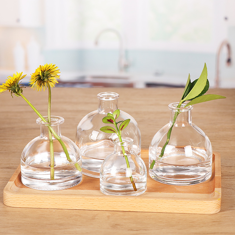 European-style semicircle glass vase Creative Flower Vase decoration home decoration desktop green radish hydroponic plant bottle