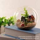 oblique micro landscape Moss ecological bottle high transparent succulent glass vase diy vase creative gift