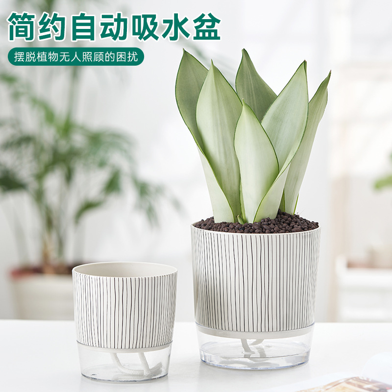 Factory transparent plastic lazy flower pot creative simple self-absorbent cotton rope thickened water storage basin Green Rose Gardening