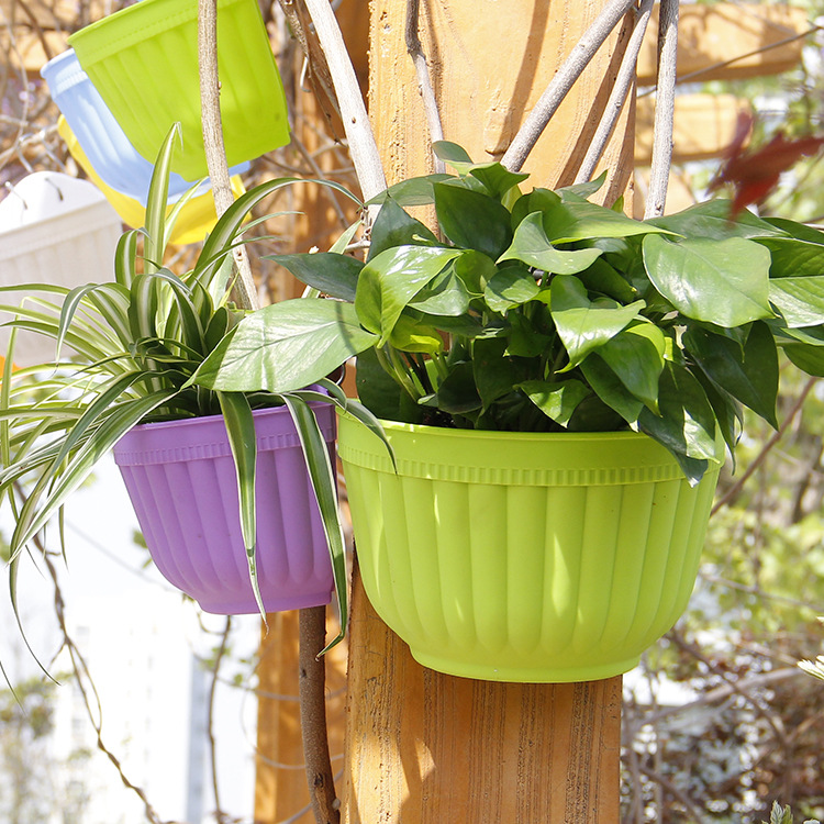 Wall hanging flowerpot resin plastic water storage hanging orchid basin wall color with hook gardening flowerpot factory